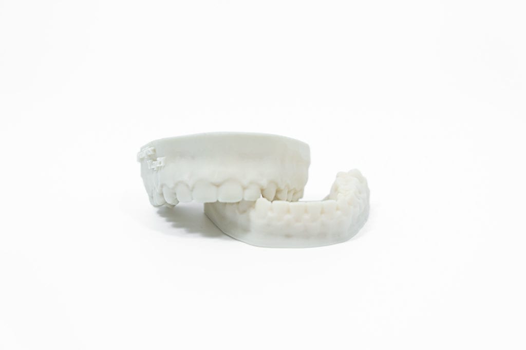 dental_models_white